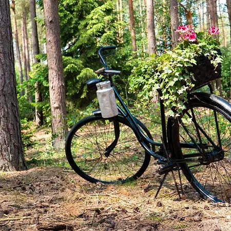 Waldhaus Hilde *