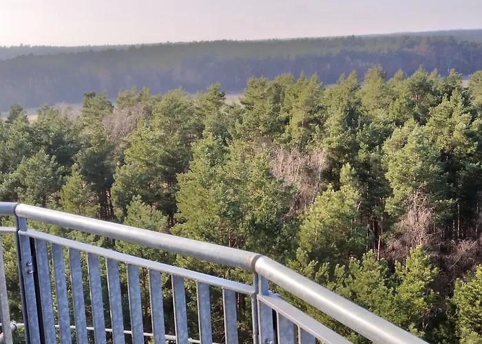 Waldhaus Hilde * Suderburg